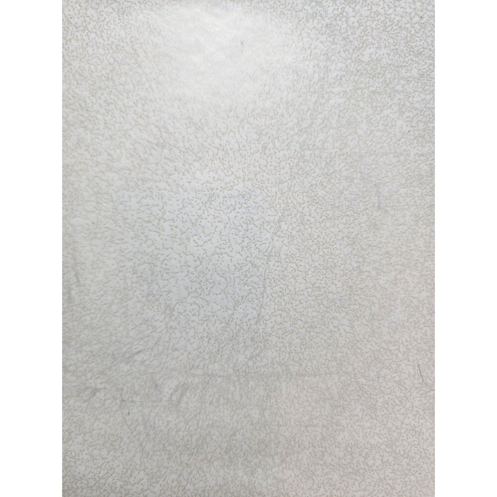 Pottery Barn Mason Stoneware Natural Color Dinner Plates (set of 2) READ!!! - Picture 13 of 15